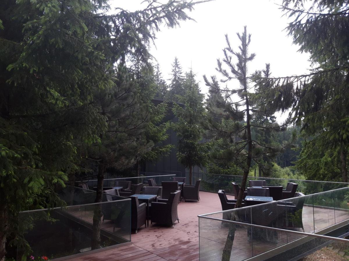 Complex Hotelier Cota O Mie Sinaia Exterior photo